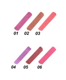 رژ لب مایع (تینت لب ) شماره ۰۴- شال کوین